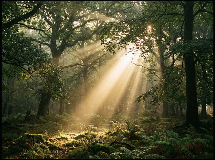 Lumière essénienne