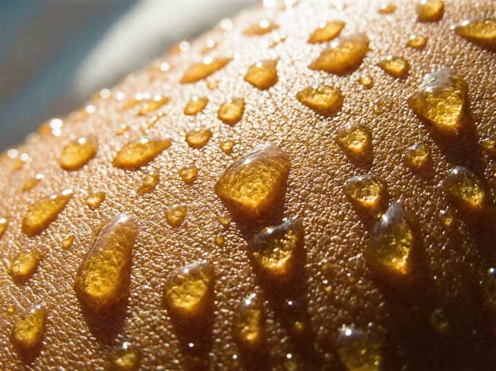 La preuve par la peau