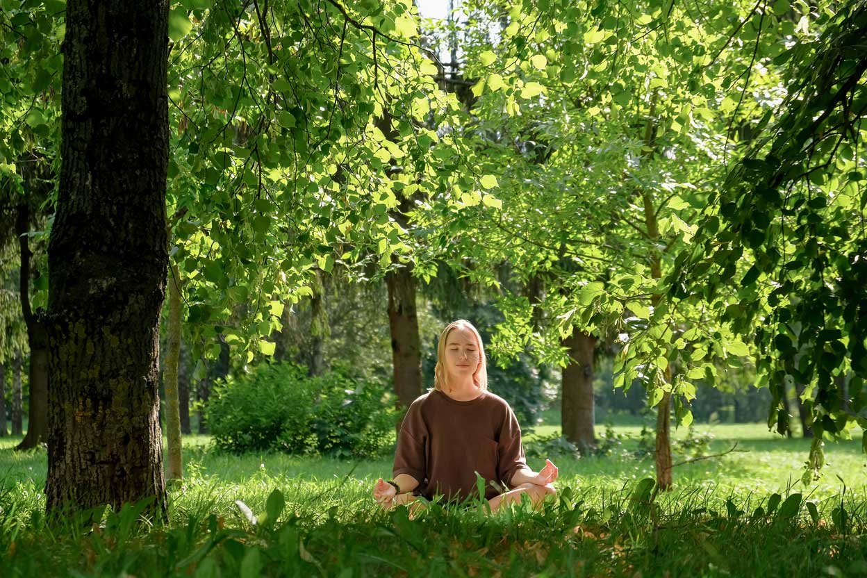 La vapeur douce de la cabane Ifulu